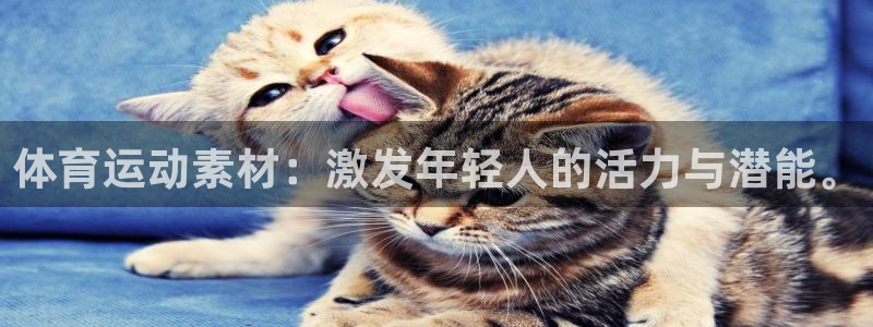 米兰体育网页版：体育运动素材：激发年轻人的活力与潜能。