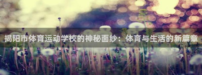 米兰体育中心：揭阳市体育运动学校的神秘面纱：体育与生活的新篇章