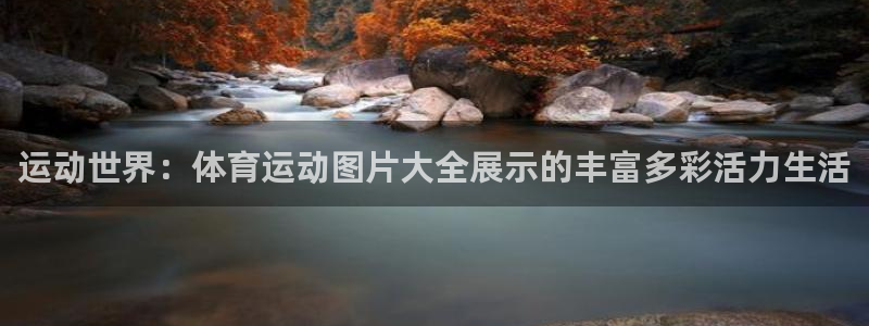 米兰体育报：运动世界：体育运动图片大全展示的丰富多彩活力生活
