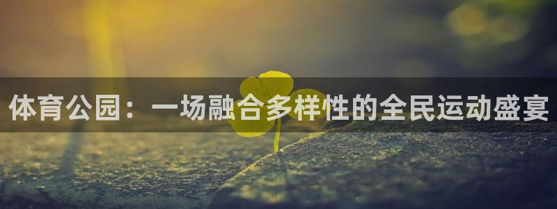 米兰体育靠谱吗：体育公园：一场融合多样性的全民运动盛宴