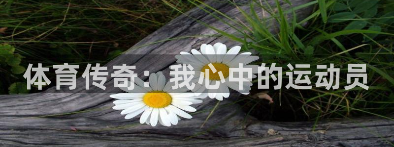 米兰体育app下载：体育传奇：我心中的运动员