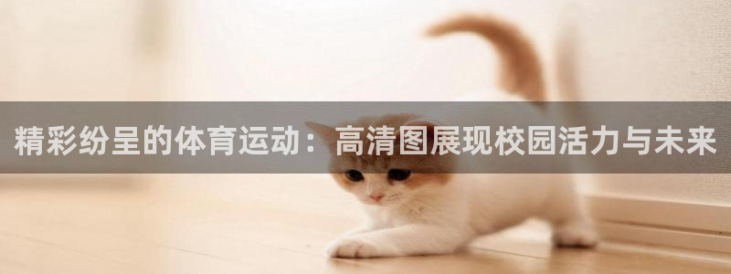 米兰体育网页版登录：精彩纷呈的体育运动：高清图展现校园活力与未来
