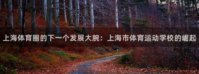 米兰体育报：上海体育圈的下一个发展大腕：上海市体育运动学校的崛起