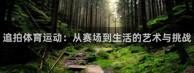 米兰体育中心：追拍体育运动：从赛场到生活的艺术与挑战