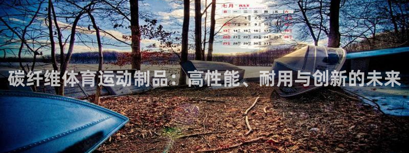 米兰体育网页版登录：碳纤维体育运动制品：高性能、耐用与创新的未来
